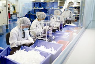 望牛墩每年投千萬助企業倍增，辦公用品行業迎發展新機遇